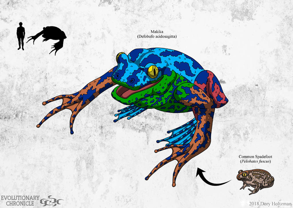 EC - Makika (Blue Morph) by Poharex