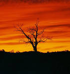 Flaming Silhouette by SunOwl