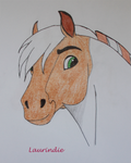 Spirit's style by Laurindie