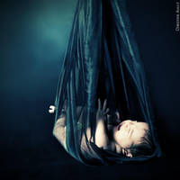 The stork restarted by ChristineAmat