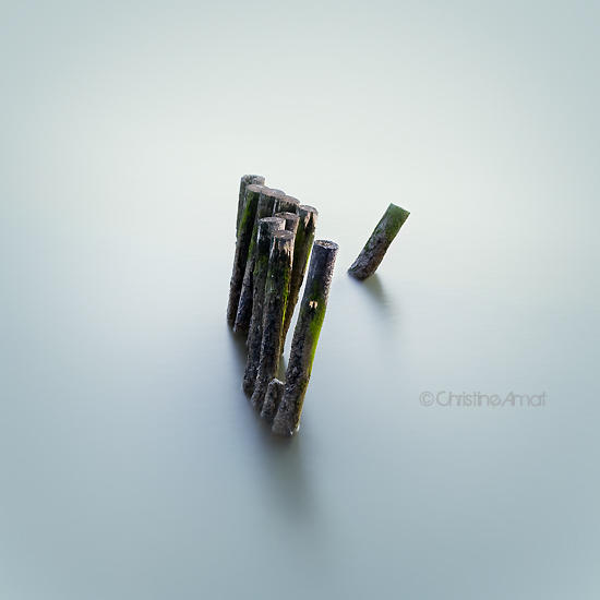 Motionless by ChristineAmat