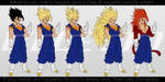 All Forms of Vegetto. by moxie2D