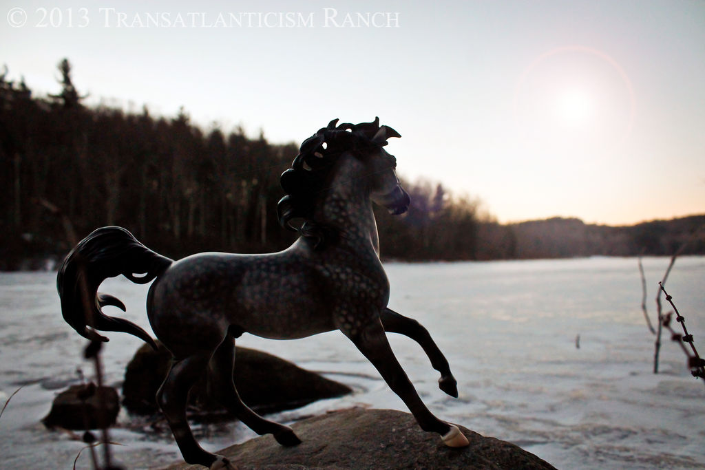 Icy Morning by TR-Ranch