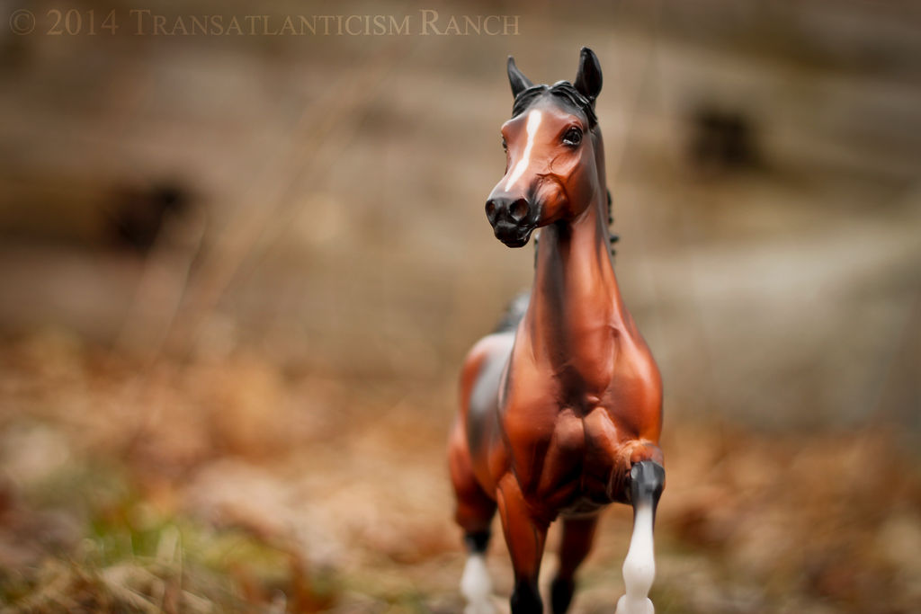 Rites of Spring by TR-Ranch