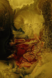 A New Emperor Was Born by jon-bibire