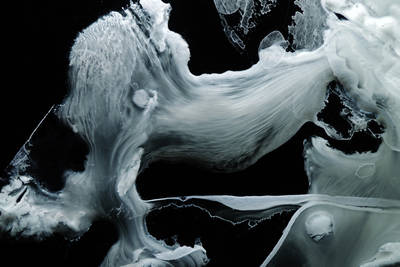 Study Of An Improbable Resilience by jon-bibire