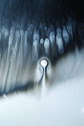 Stradivaresse Sarabandite by jon-bibire