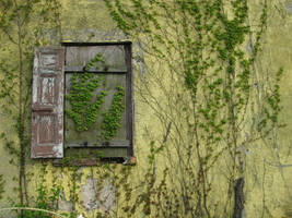 Old Wall 2 by bean-stock