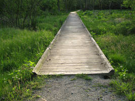 Pathway 8 by bean-stock