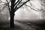 Between Breaths by drkshp