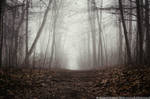 No Paranoia by drkshp
