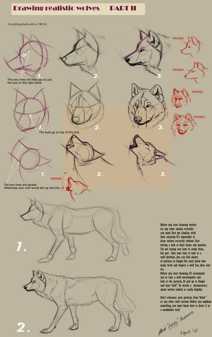 Drawing realistic wolves II by Yellow-eyes