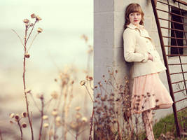 Soft Dead Flowers by FDLphoto