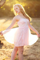 Sun Dancer by FDLphoto