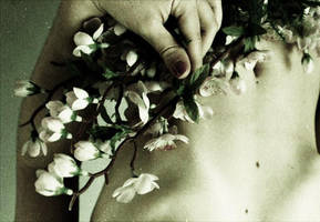 tears were beautiful by TearsOnthePiano