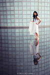 Reflective Symmetry by hexlord