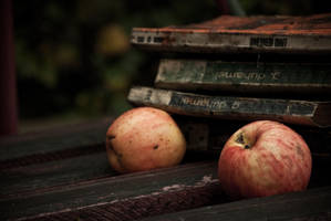 ready to read.. by JordanRobin