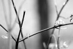 weak love by psycho-kissen