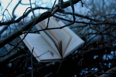 psssh... by carolinium