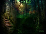 A morning in a magical forest by shades-of-art