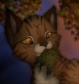Leafpool Portrait by rosealuck14