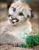 That happens when you take drugs, kids by woxys