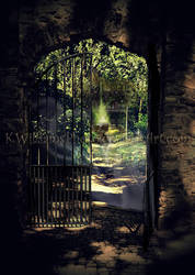 The Akash Kapalanum, TTB1 by KWilliamsPhoto