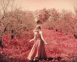 I remember those days by AmberKim