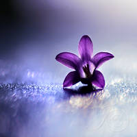 Finally Free by Healzo