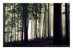 Autumn feelings no.7 by naturetimescape