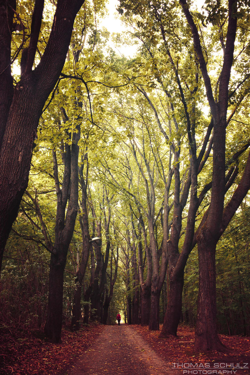 late summer by naturetimescape