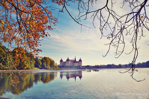golden autumn by naturetimescape