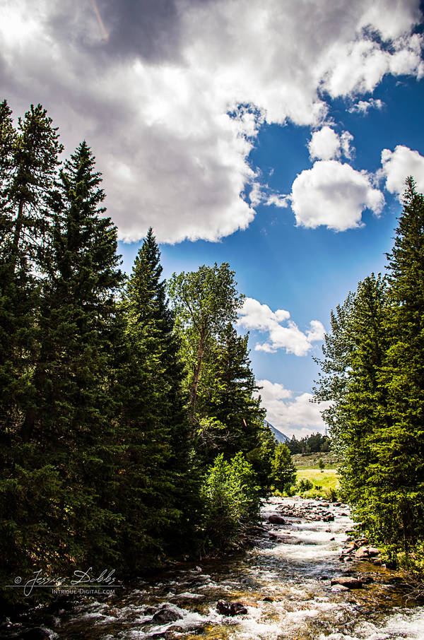 Mountain Stream by JessicaDobbs