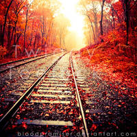 tempus volat hora fugit by TwiggyTeeluck