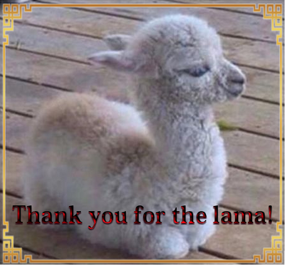 Thank A7 by Alimera