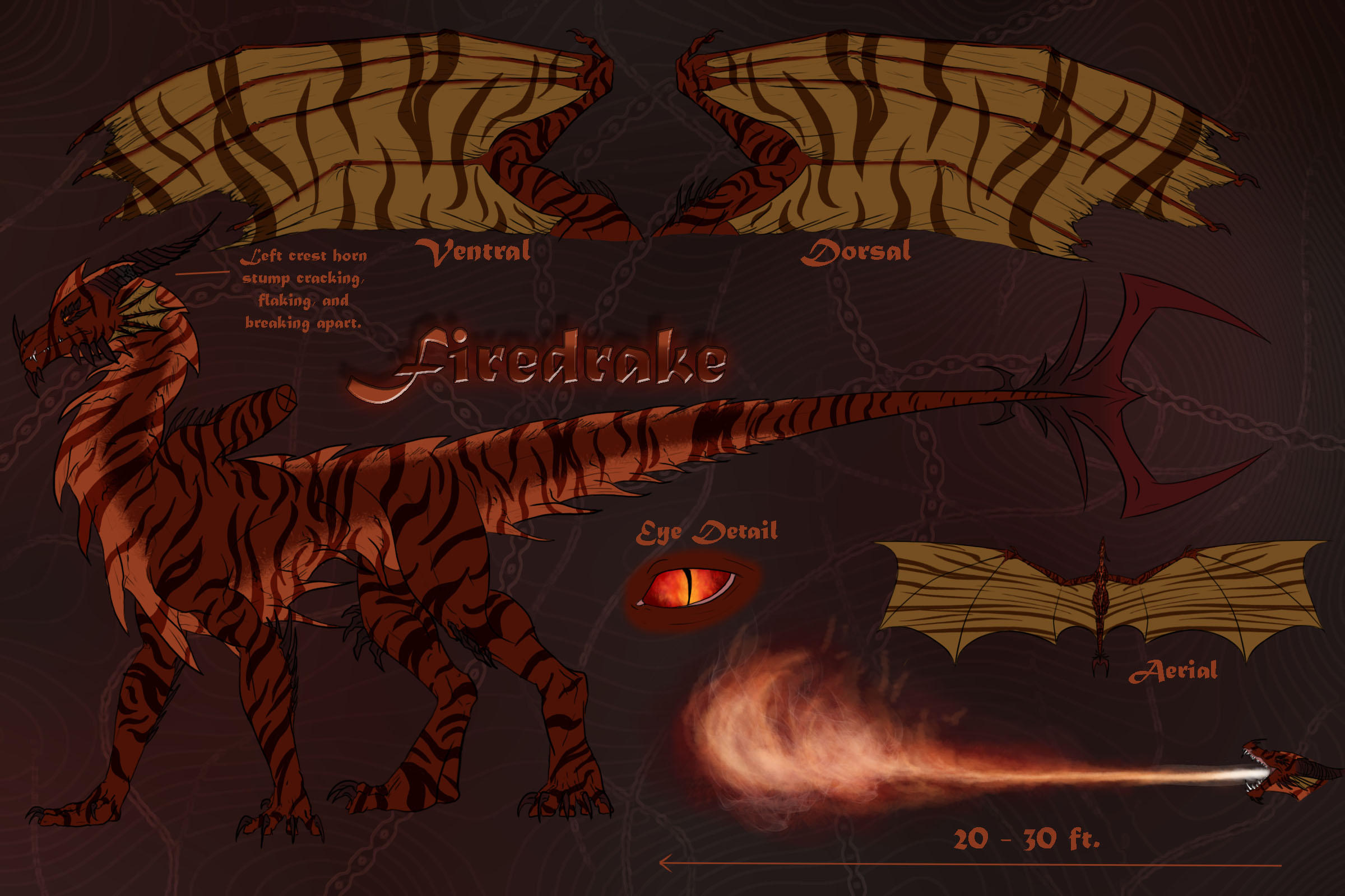 dragon rider firedrake dragon rider firedrake
