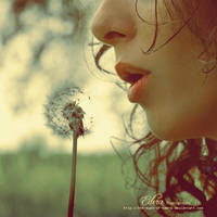 b l o w by phoenixgraphixstudio