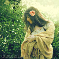 the secret garden by phoenixgraphixstudio