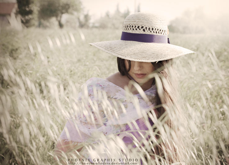 . . . p i c n i c I I . . . by phoenixgraphixstudio