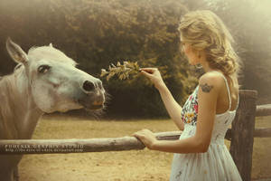 . . . m e e t . . . by phoenixgraphixstudio