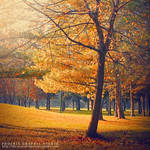 . . . eternal fall . . . by phoenixgraphixstudio