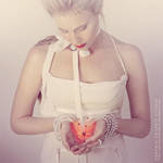 . . . p a p i l l o n . . . by phoenixgraphixstudio