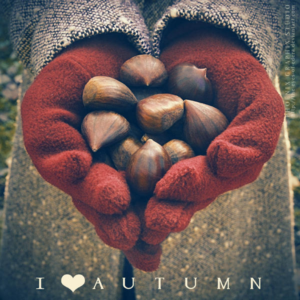 . . . I love autumn . . . by phoenixgraphixstudio