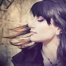 . . . gold dust woman . . . by phoenixgraphixstudio