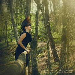 . . . the spirit . . . by phoenixgraphixstudio