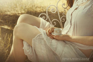 . . . z e f i r o . . . by phoenixgraphixstudio