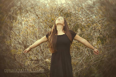 my heart sings to the stars by phoenixgraphixstudio