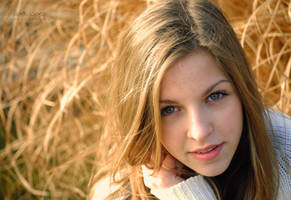 Yellow by Dark-wind-Wings