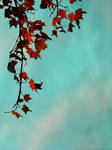 hot n cold by Aimelle