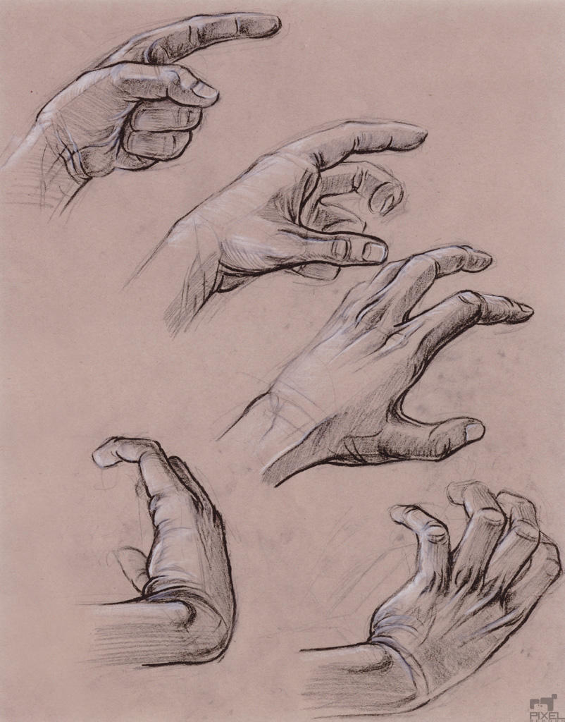 Hand Study by Liemn